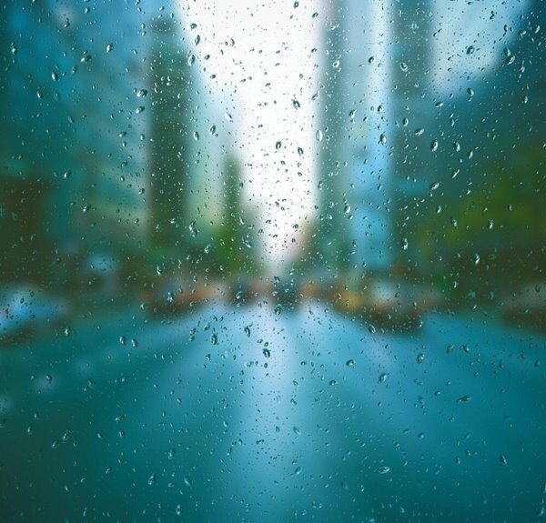 expert backlink services offered